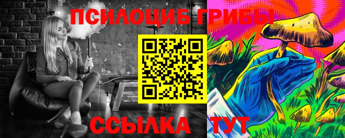 Жигулёвск  хочу наркоту  Вход с VPN  Галлюциногенные грибы прущие грибы 