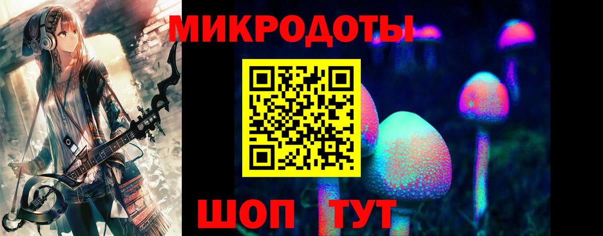 Галлюциногенные грибы Psilocybine cubensis Жигулёвск